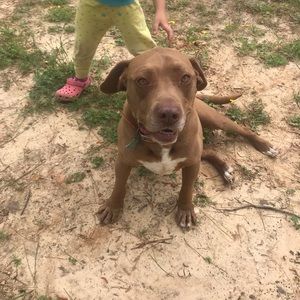 Meet your Posher, William